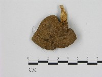 登錄號:F0015643藏品圖，第1張