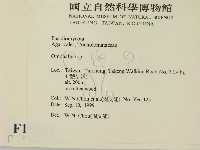 登錄號:F0015644藏品圖，第2張