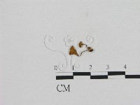 登錄號:F0015644藏品圖，第1張