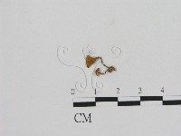 登錄號:F0015644藏品圖，第3張