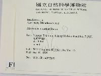 登錄號:F0015646藏品圖，第2張