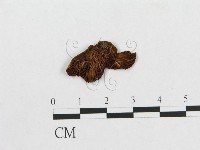 登錄號:F0015647藏品圖，第1張
