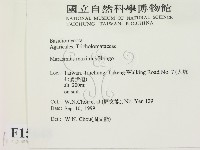 登錄號:F0015648藏品圖，第2張