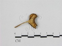 登錄號:F0015650藏品圖，第3張