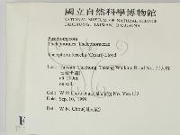 棕色革菌藏品圖，第2張