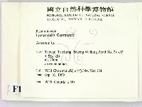 地星屬藏品圖，第2張