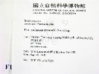 登錄號:F0015654藏品圖，第2張