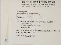 栓菌屬藏品圖，第2張