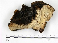 登錄號:F0015661藏品圖，第1張