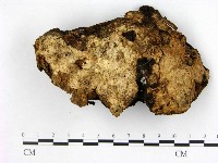 登錄號:F0015661藏品圖，第3張