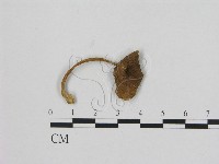 登錄號:F0015662藏品圖，第1張