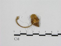 登錄號:F0015662藏品圖，第3張