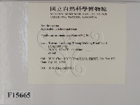 登錄號:F0015665藏品圖，第2張