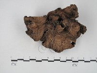 登錄號:F0015665藏品圖，第3張