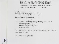 登錄號:F0015666藏品圖，第2張
