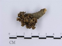 登錄號:F0015666藏品圖，第1張