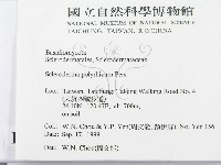 登錄號:F0015667藏品圖，第2張