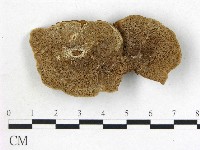 登錄號:F0015671藏品圖，第1張