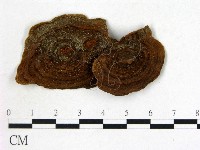 登錄號:F0015671藏品圖，第3張