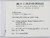 相鄰小孔菌藏品圖，第2張