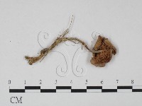 登錄號:F0015676藏品圖，第3張