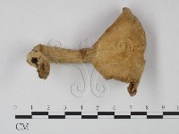 登錄號:F0015677藏品圖，第1張