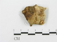 登錄號:F0015679藏品圖，第3張