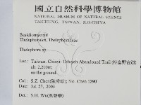 革菌屬藏品圖，第2張