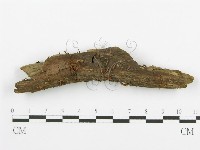 登錄號:F0015685藏品圖，第1張