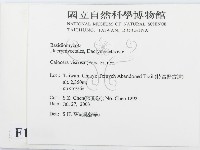 登錄號:F0015686藏品圖，第2張