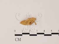 登錄號:F0015687藏品圖，第3張
