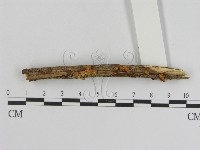 登錄號:F0015689藏品圖，第3張