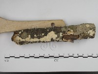 登錄號:F0015691藏品圖，第3張