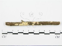 登錄號:F0015692藏品圖，第3張