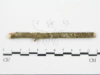 登錄號:F0015692藏品圖，第4張