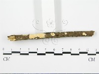 登錄號:F0015692藏品圖，第5張