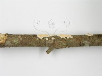 登錄號:F0015692藏品圖，第8張