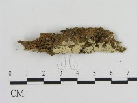 登錄號:F0015698藏品圖，第1張