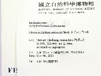 登錄號:F0015699藏品圖，第2張