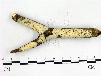 登錄號:F0015699藏品圖，第1張