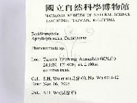 顯絲菌屬藏品圖，第2張