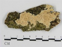 登錄號:F0015703藏品圖，第1張