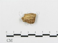 登錄號:F0015704藏品圖，第4張