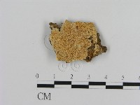 登錄號:F0015705藏品圖，第1張