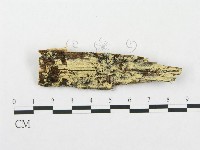 登錄號:F0015706藏品圖，第1張