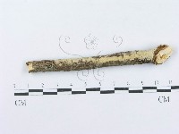 登錄號:F0015710藏品圖，第1張