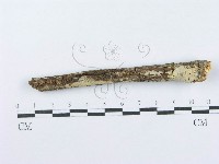登錄號:F0015710藏品圖，第4張