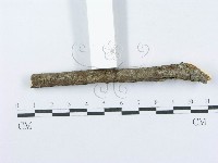 登錄號:F0015710藏品圖，第5張
