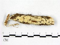 登錄號:F0015712藏品圖，第1張