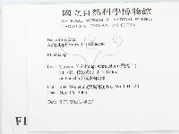 射脈菌屬藏品圖，第2張
